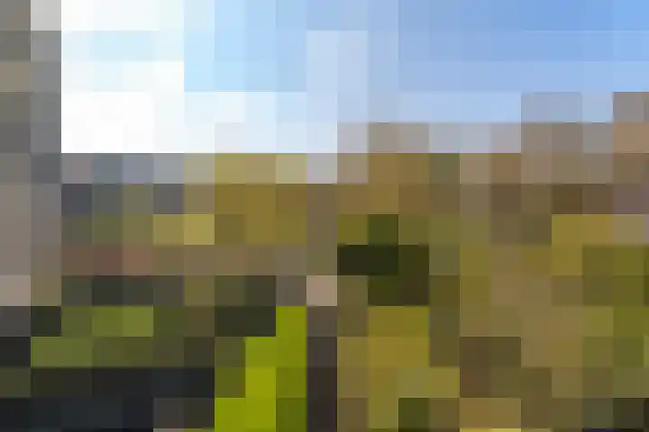 Plein Eendragt 11 A Schiedam thumbnail 8