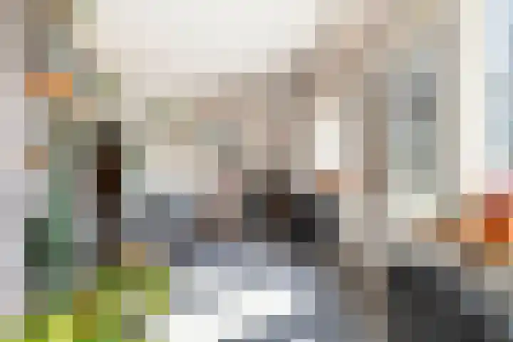 Plein Eendragt 11 A Schiedam thumbnail 9