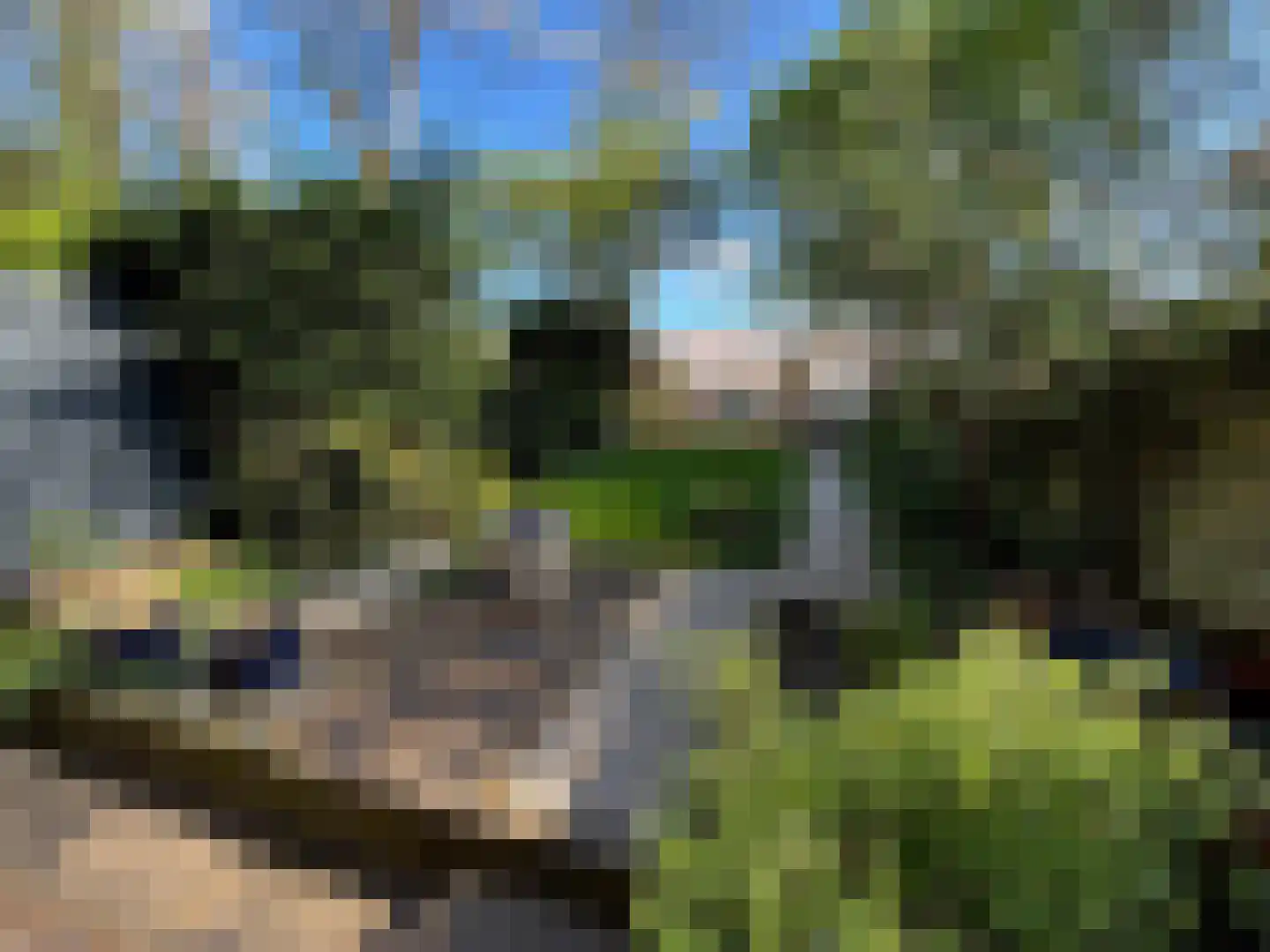 Plein Eendragt 19 A Schiedam thumbnail 18