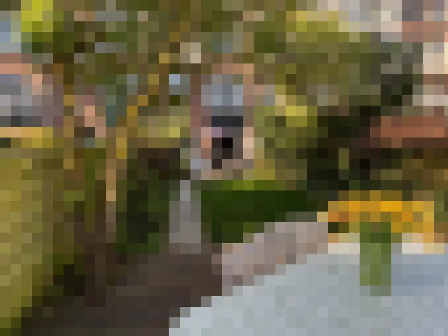 Plein Eendragt 19 A Schiedam thumbnail 20