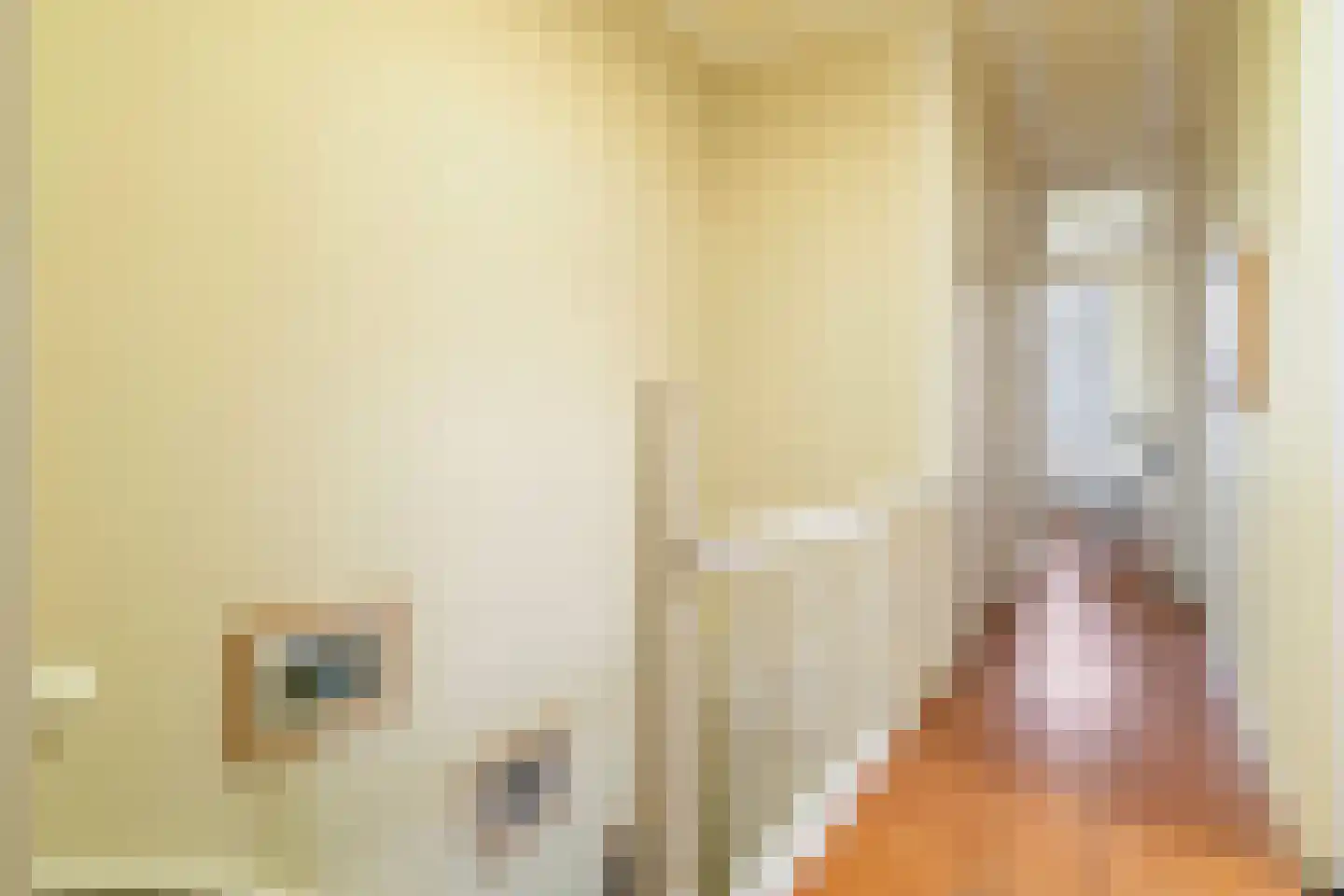 Plein Eendragt 19 A Schiedam thumbnail 30