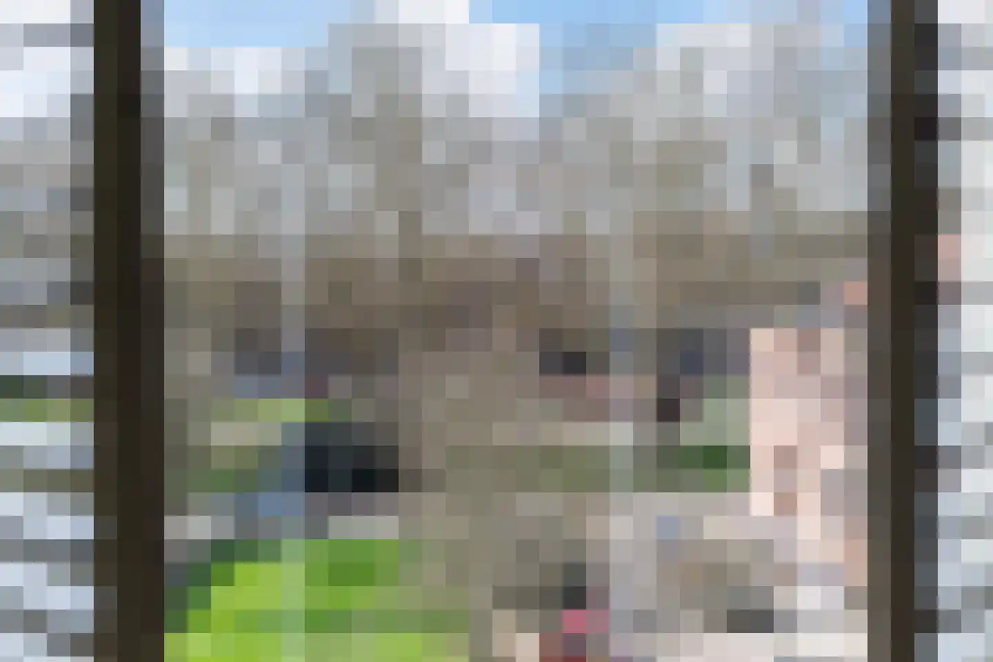 Plein Eendragt 19 A Schiedam thumbnail 36