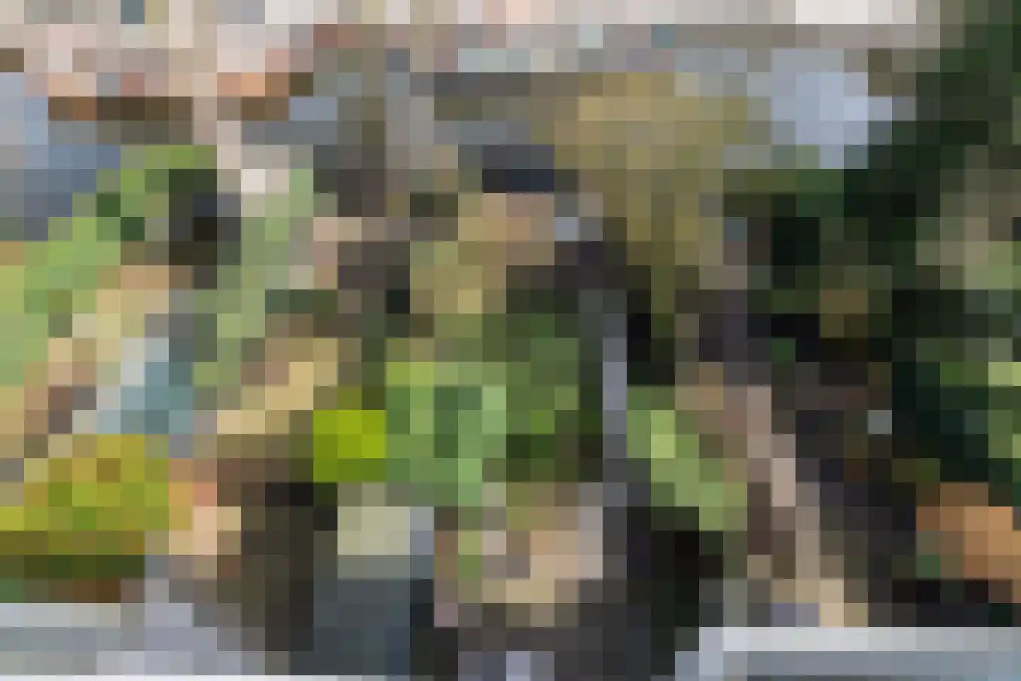 Plein Eendragt 19 A Schiedam thumbnail 42