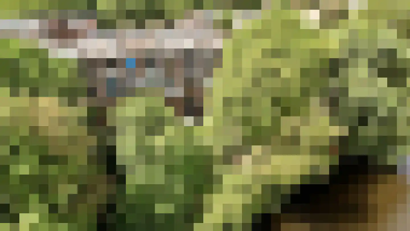 Plein Eendragt 19 A Schiedam thumbnail 45