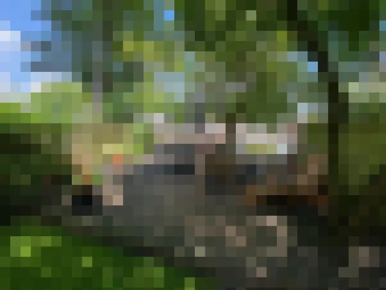 Plein Eendragt 19 A Schiedam thumbnail 46