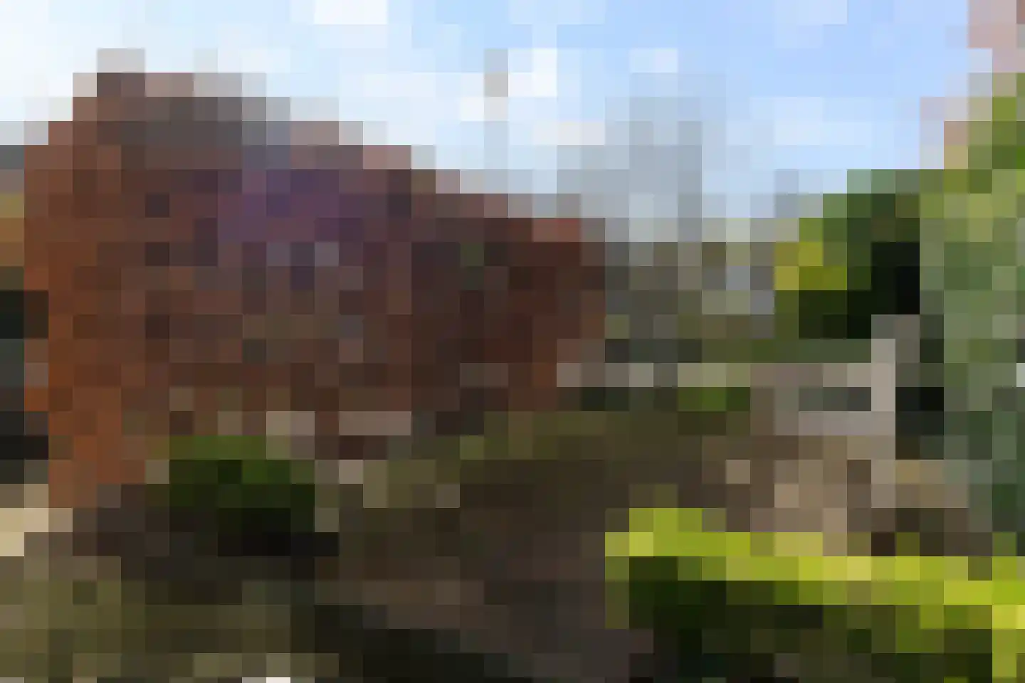 Plein Eendragt 19 A Schiedam thumbnail 47