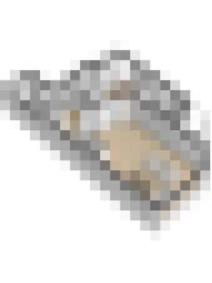 Plein Keizers 11 Winterswijk thumbnail 33