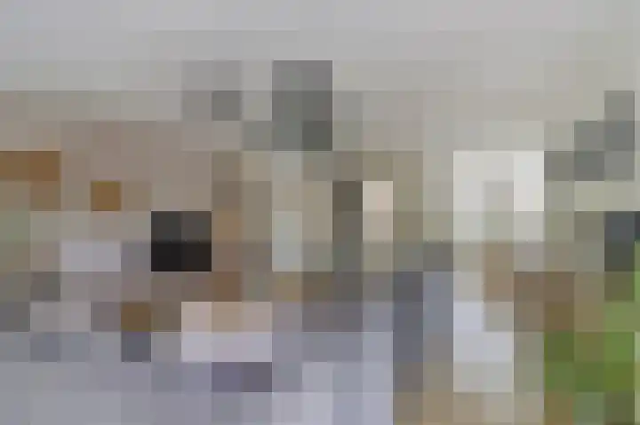 Plein Keizers 11 Winterswijk thumbnail 8
