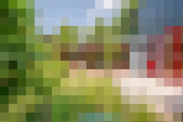 Plein Soleil 26 Noordwijk thumbnail 12
