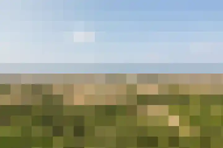 Plein Soleil 26 Noordwijk thumbnail 60
