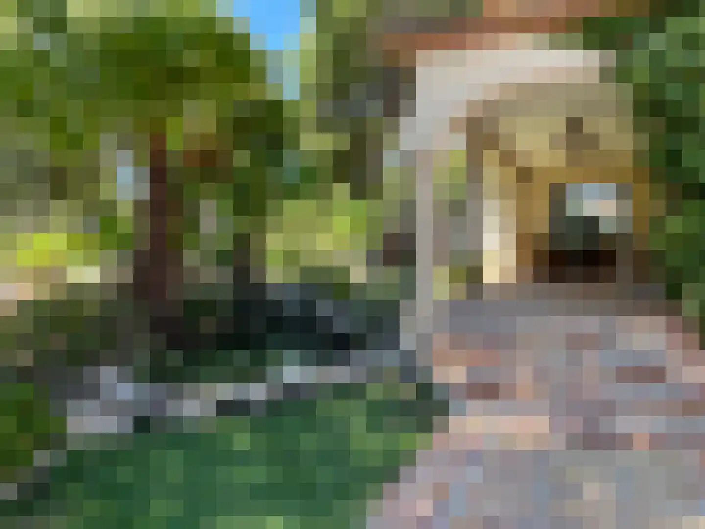 Plein Spanje '36-'39 118 Amsterdam thumbnail 32