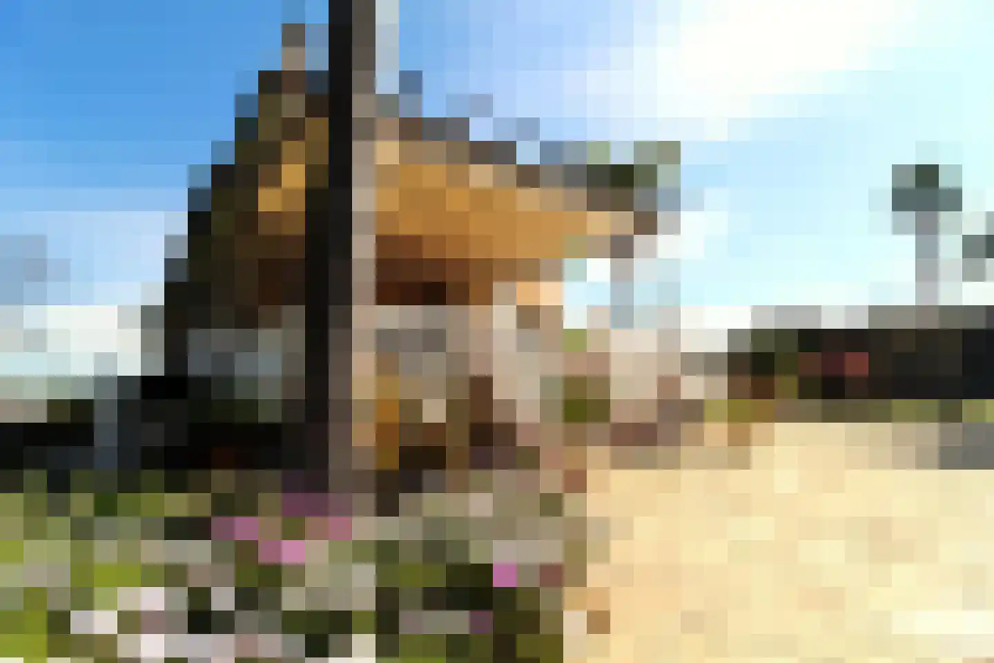 Plein Spanje '36-'39 13 Amsterdam thumbnail 34