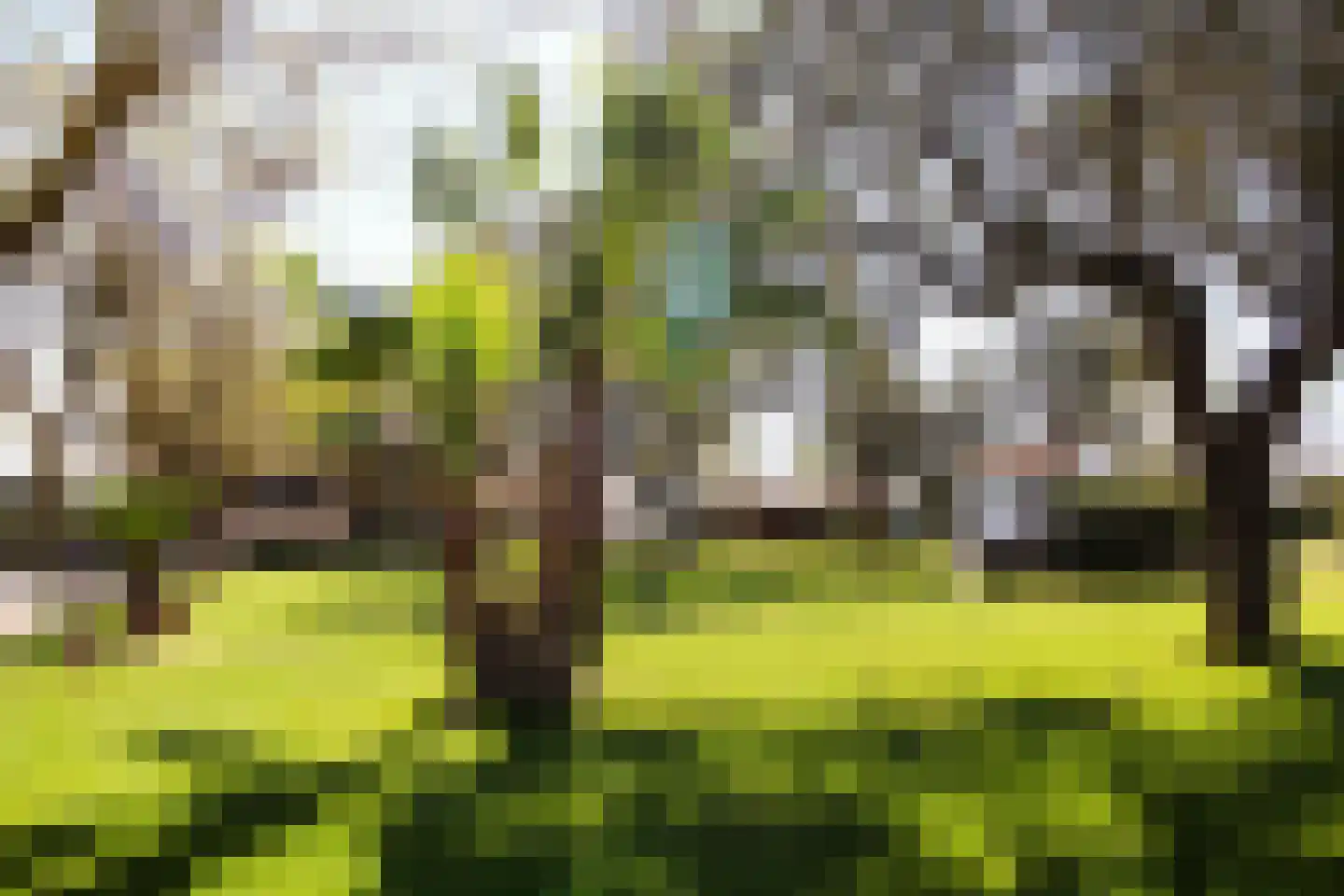 Plein Spanje '36-'39 13 Amsterdam thumbnail 51
