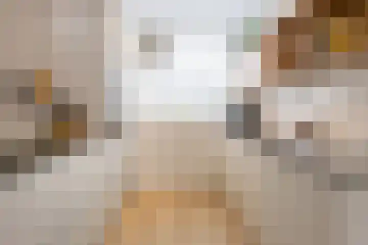 Plein Vogelzang 10 Bilthoven thumbnail 15