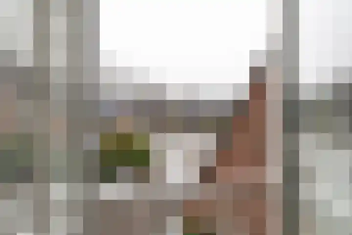 Plein Vogelzang 10 Bilthoven thumbnail 20