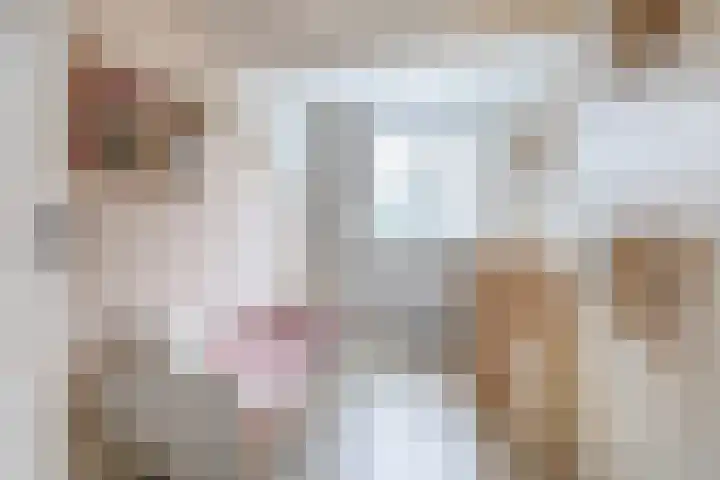 Plein Vogelzang 10 Bilthoven thumbnail 22