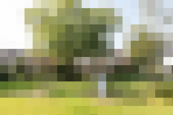 Plein Vogelzang 10 Bilthoven thumbnail 24