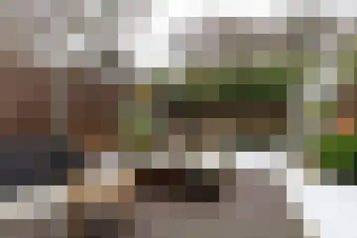 Plein Vogelzang 10 Bilthoven thumbnail 35