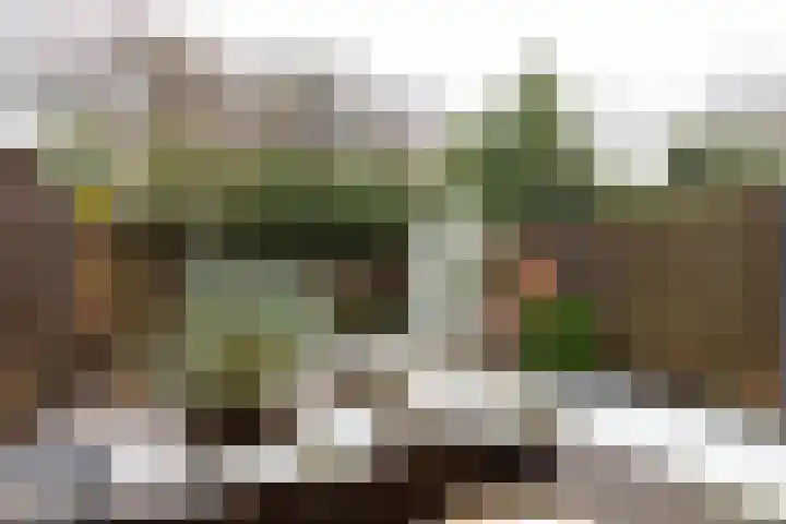 Plein Vogelzang 10 Bilthoven thumbnail 36