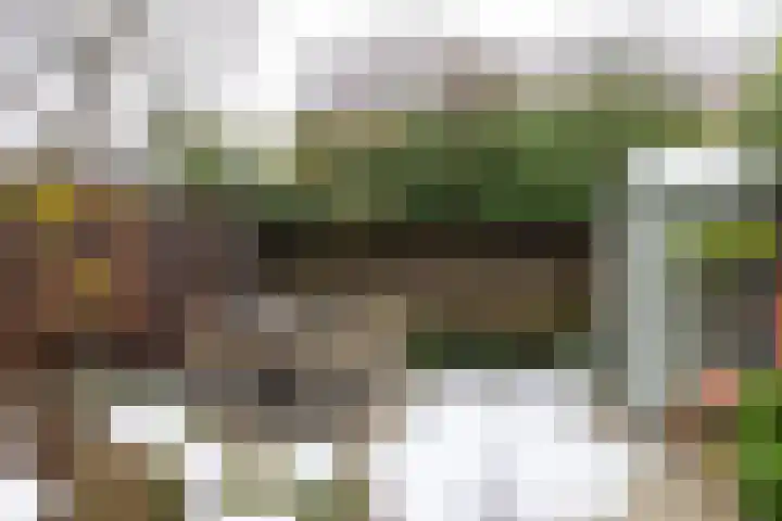 Plein Vogelzang 10 Bilthoven thumbnail 37