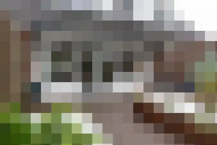 Plein Vogelzang 10 Bilthoven thumbnail 39