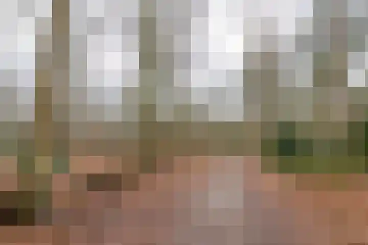 Plein Vogelzang 10 Bilthoven thumbnail 43