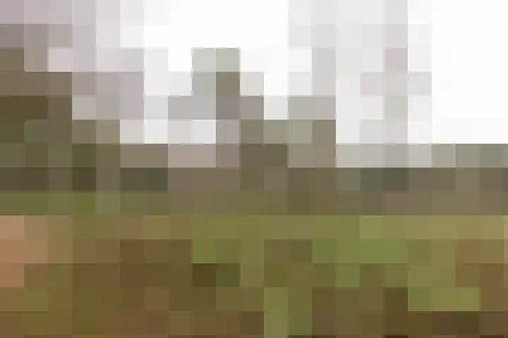 Plein Vogelzang 10 Bilthoven thumbnail 44