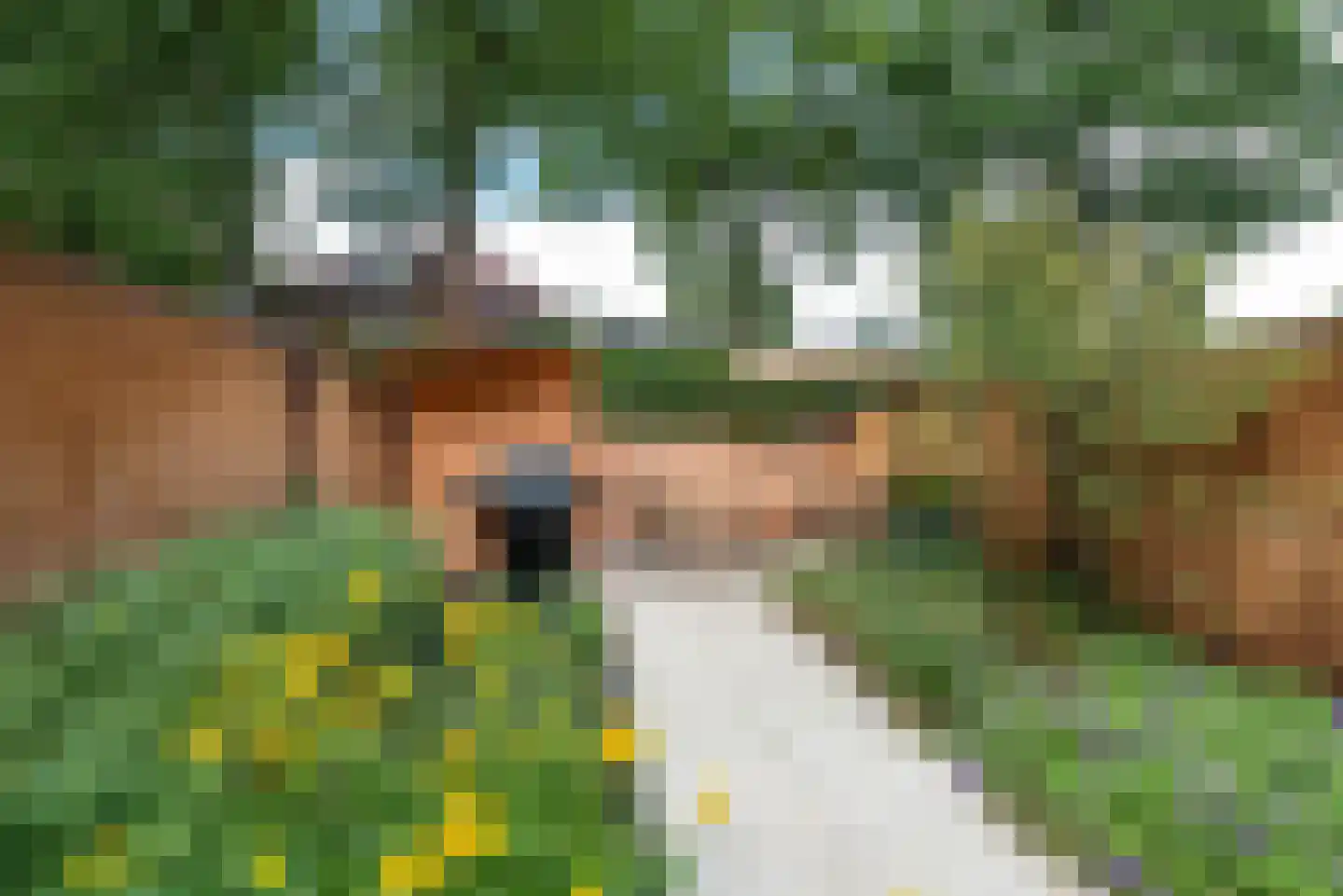 Plein Vogelzang 22 Bilthoven thumbnail 15
