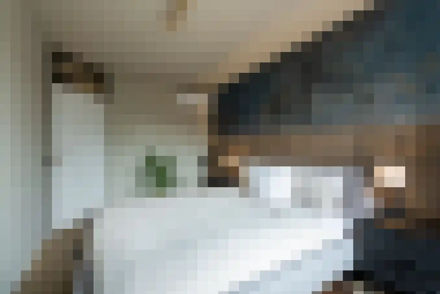 Plein Vogelzang 22 Bilthoven thumbnail 24