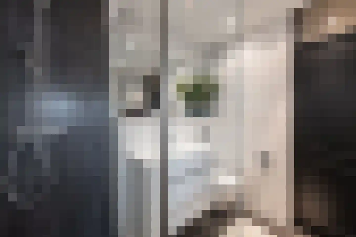 Plein Vogelzang 22 Bilthoven thumbnail 30