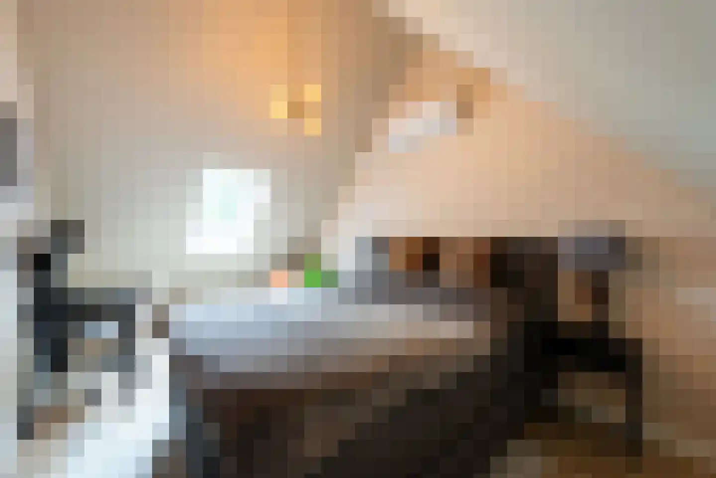 Plein Vogelzang 22 Bilthoven thumbnail 32