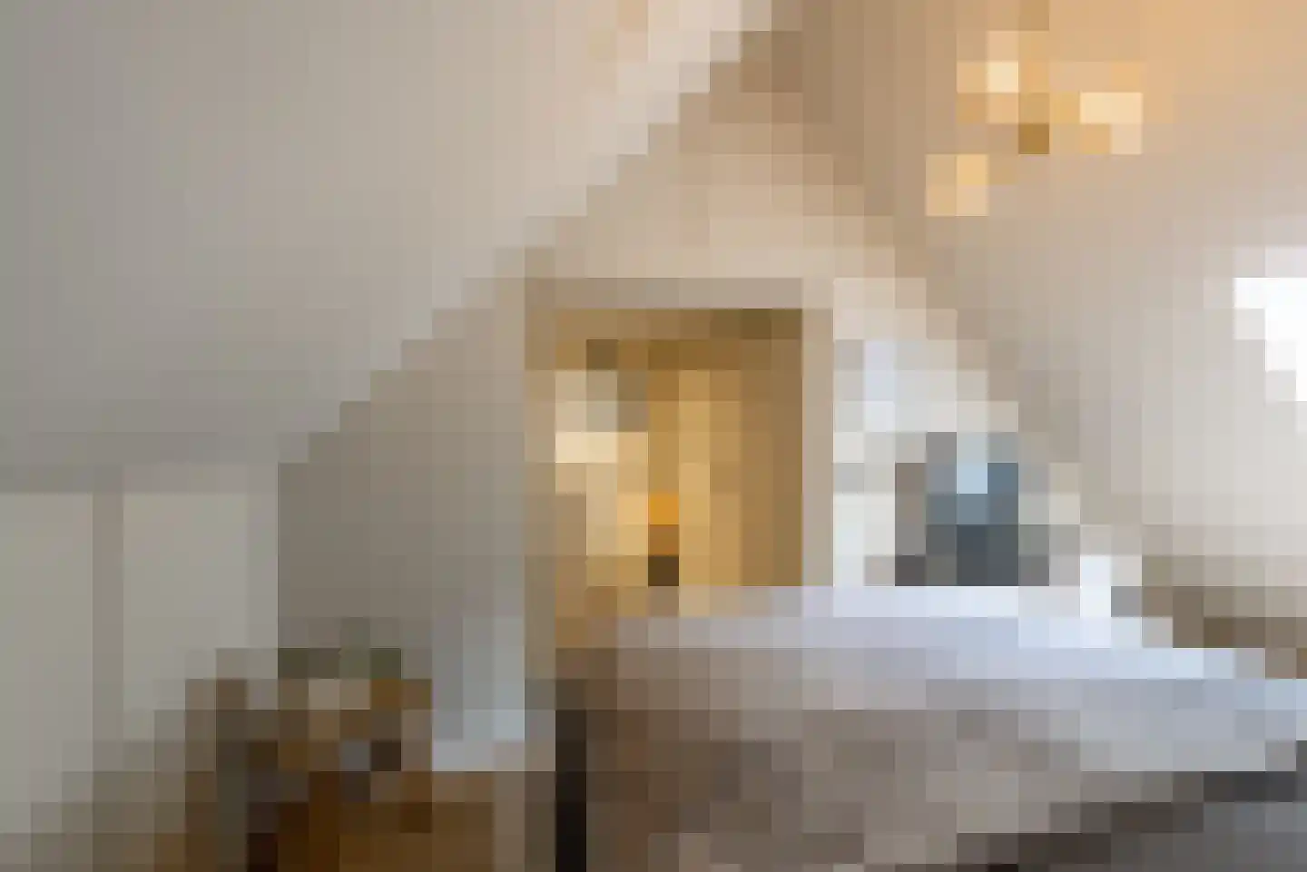 Plein Vogelzang 22 Bilthoven thumbnail 33
