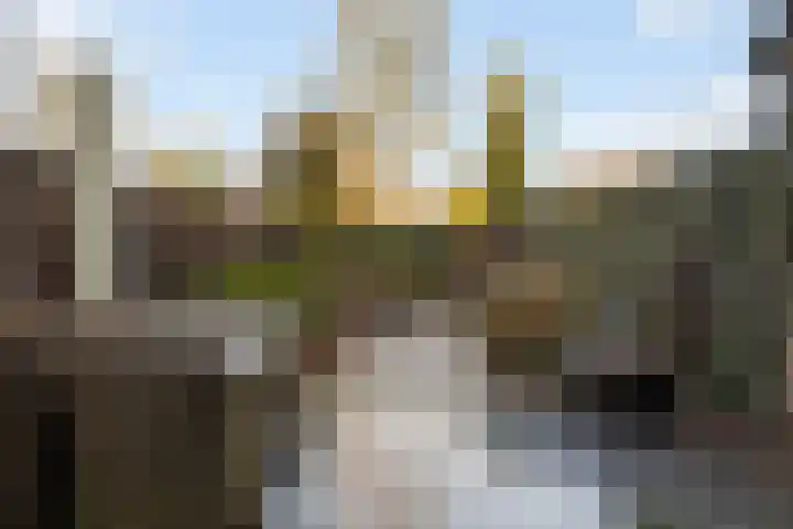 Plein Vogelzang 26 Bilthoven thumbnail 22