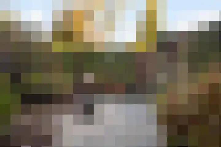 Plein Vogelzang 26 Bilthoven thumbnail 23