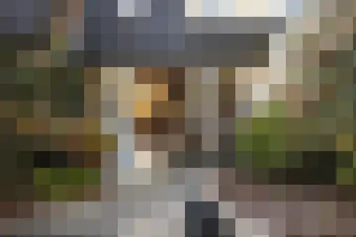 Plein Vogelzang 26 Bilthoven thumbnail 25