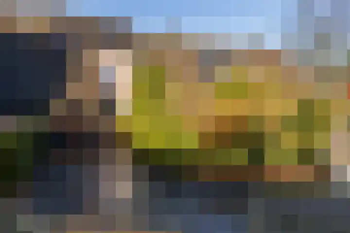 Plein Vogelzang 26 Bilthoven thumbnail 26