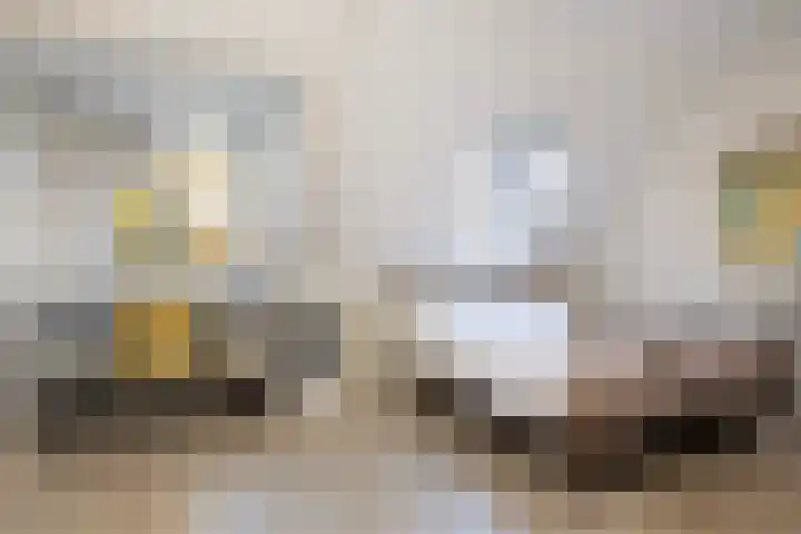 Plein Vogelzang 26 Bilthoven thumbnail 32