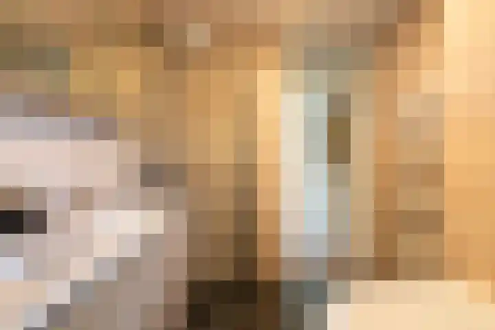 Plein Vogelzang 26 Bilthoven thumbnail 38