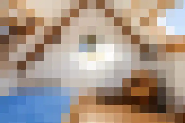 Plein Vogelzang 26 Bilthoven thumbnail 39