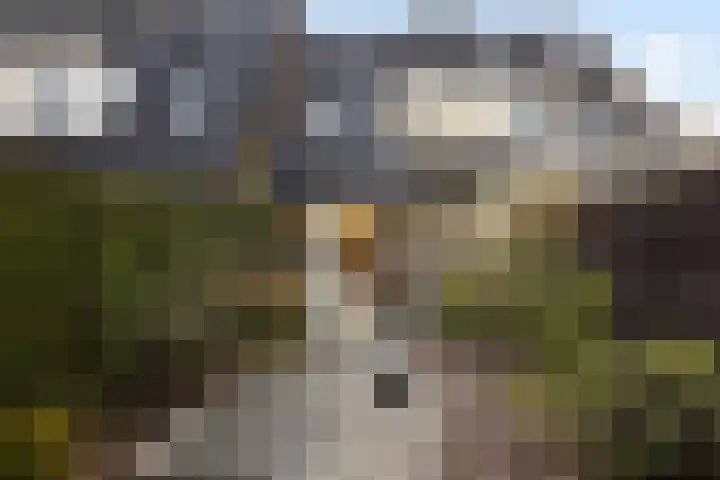 Plein Vogelzang 26 Bilthoven thumbnail 4
