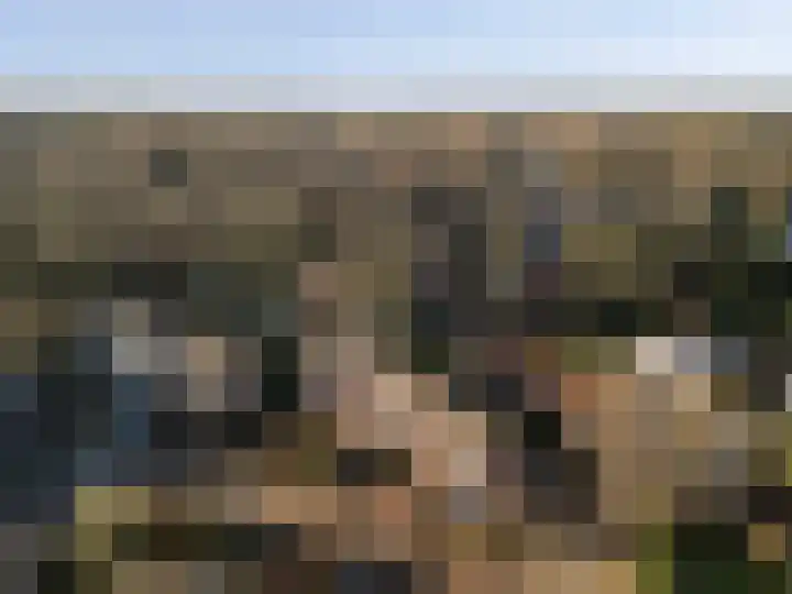 Plein Vogelzang 26 Bilthoven thumbnail 44