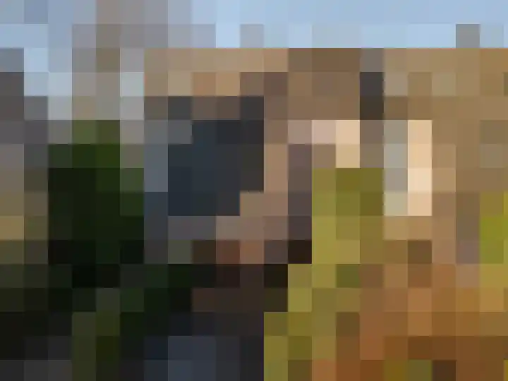 Plein Vogelzang 26 Bilthoven thumbnail 5