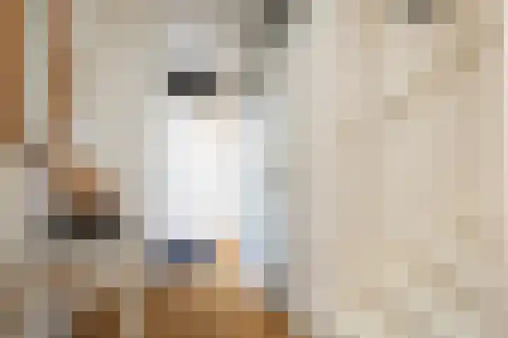 Plein Vogelzang 26 Bilthoven thumbnail 7