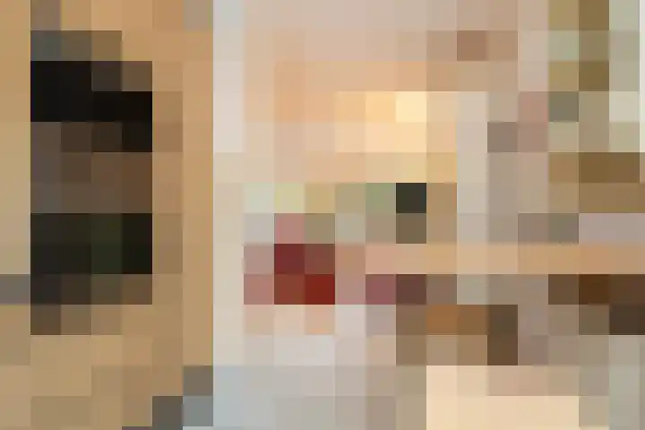 Plein Vogelzang 30 Bilthoven thumbnail 14