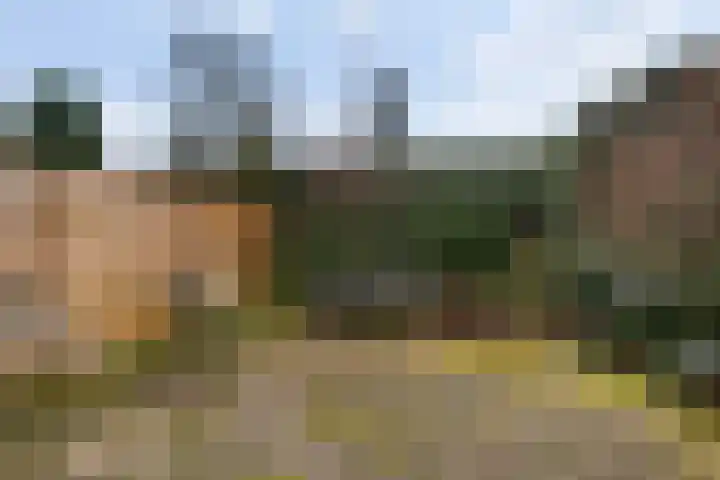 Plein Vogelzang 30 Bilthoven thumbnail 16