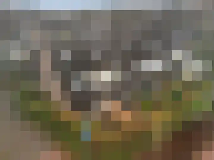 Plein Vogelzang 30 Bilthoven thumbnail 18