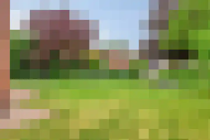 Plein-Zuid 7 Aalten thumbnail 26