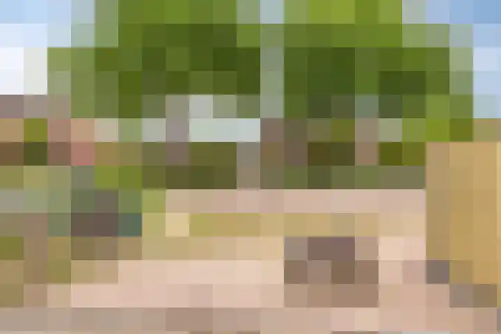 Plein-Zuid 7 Aalten thumbnail 27