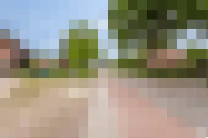 Plein-Zuid 7 Aalten thumbnail 33