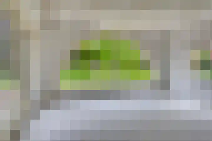 Plein-Zuid 7 Aalten thumbnail 4